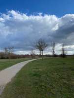 Hundeauslaufgebiet-Lamme hinter der Schule-Bild