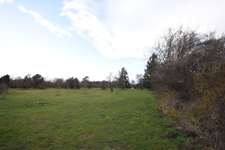 Hundeauslaufgebiet-Pippelweg Wiese-Bild