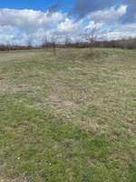 Hundeauslaufgebiet-Lamme hinter der Schule-Bild