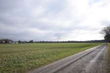 Hundeauslaufgebiet-BS Lamme-Bild