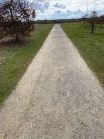 Hundeauslaufgebiet-Lamme hinter der Schule-Bild