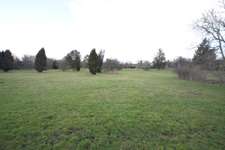 Hundeauslaufgebiet-Pippelweg Wiese-Bild