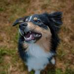 Ersteller:in Selina Profilbild