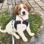 Ersteller:in Jenni Profilbild