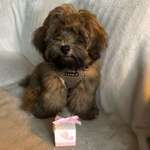 Ersteller:in Sabrina Profilbild