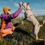 Ersteller:in Selina Profilbild
