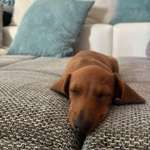 Ersteller:in Jill Profilbild