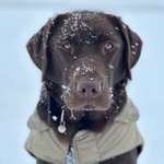 Ersteller:in Thomas Profilbild