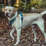 Ersteller:in Linda Profilbild