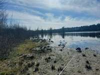 Hundeauslaufgebiet-Wald am Freibad Walbeck / niederländisches Grenzgebiet-Bild