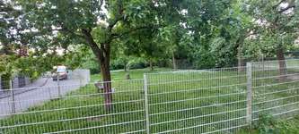 Hundeauslaufgebiet-Hundewiese am Havelring-Bild