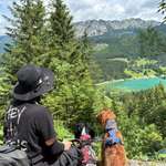 Ersteller:in Bettina Isabel Profilbild