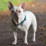 Ersteller:in L. Profilbild