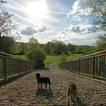 Ersteller:in Matthias Profilbild