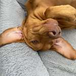 Ersteller:in Alessia Profilbild