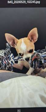 Auffäliges verhalten-Beitrag-Bild