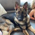 Ersteller:in Janine Profilbild