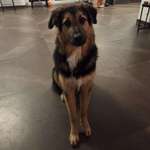 Ersteller:in Lilli-Marie Profilbild