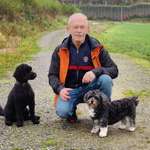 Ersteller:in Stephan Profilbild