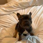 Ersteller:in Madelaine Profilbild