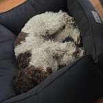 Ersteller:in Phillip Profilbild