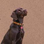 Ersteller:in jennifer Profilbild