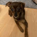 Ersteller:in Katrin Profilbild