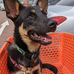 Ersteller:in Dirk Profilbild