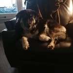 Ersteller:in Sonnen Profilbild