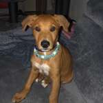 Ersteller:in Jennifer Profilbild