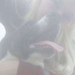 Ersteller:in Chiara Profilbild