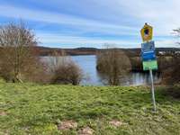 Hundeauslaufgebiet-Ziegelsee Nord-Bild