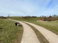 Hundeauslaufgebiet-Ziegelsee Nord-Bild