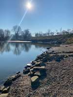 Hundeauslaufgebiet-Neckarwiese Mannheim-Bild