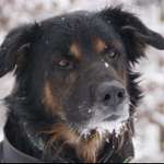 Ersteller:in Annabelle Profilbild