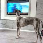 Ersteller:in Matze Profilbild