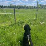 Ersteller:in Kashan Profilbild