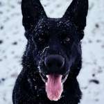 Ersteller:in Lena Profilbild