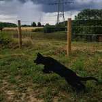 Ersteller:in Lina Profilbild