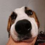 Ersteller:in Jennifer Profilbild