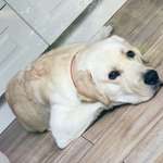 Ersteller:in Yvonne Profilbild