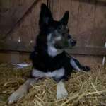 Ersteller:in Verena Profilbild