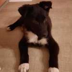 Ersteller:in Sylvia Profilbild