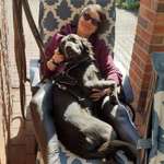 Ersteller:in Miss Kitty Profilbild