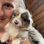 Ersteller:in Jenny Profilbild