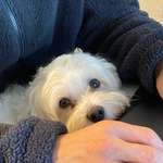 Ersteller:in Juliane Profilbild