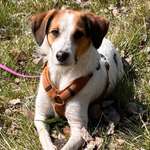 Ersteller:in Nadja Profilbild