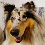 Ersteller:in Jochen Profilbild