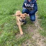 Ersteller:in Nadja Profilbild