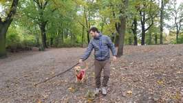 Hundeauslaufgebiet-Westend-Bild